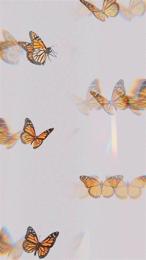 Effdeesea ♡ Butterfly Wallpaper Iphone Iphone Wallpaper Rainy