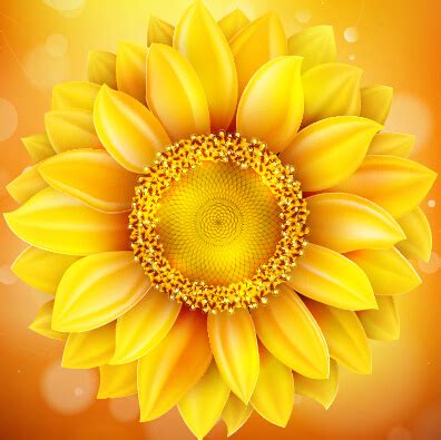 Download Sunflower free vector download (249 Free vector) for ...