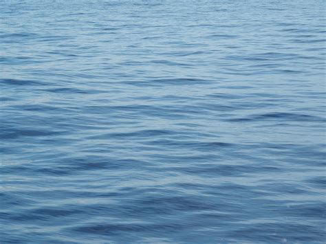 Gambar Laut Biru Pulp