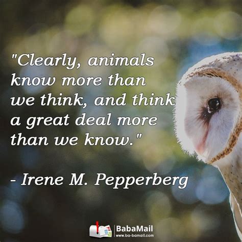 12 Great Animal Quotes As A Source Of Inspiration