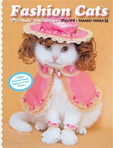 Fashion Cats A New Book Featuring Cats Wearing The Cute Outfits