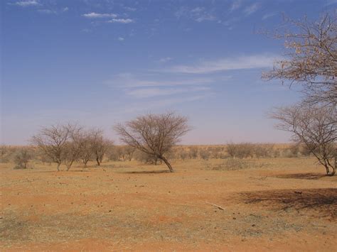 Savanna Dry Season Geo For Cxc