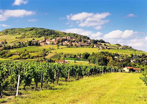 Beaujolais And M Connais Wine Tour Audley Travel Us