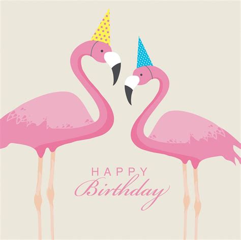 HBD Flamingo Flamingo Happy Birthday Flamingo Birthday Happy Birthday Cards