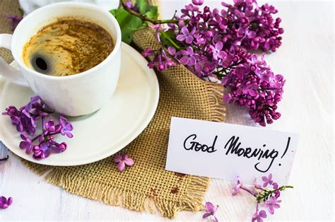 Good Morning Images Ultra Hd Hd To K Quality Images For Free Go Images Net