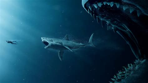 1 video updated 2 years ago. The Meg - 1920x1080 Wallpapers - Full HD Backgrounds