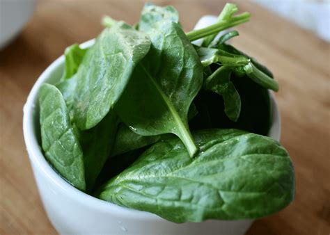 Spinach: Types Of Spinach - PENzIT Health Spinach: Types Of Spinach