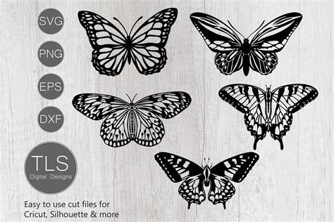 Butterflies SVG, Butterfly SVG, Butterflies Cricut file (376484) | Cut