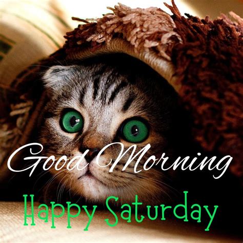 50 Happy Saturday Good Morning Wishes With Hd Images And Pictures