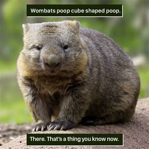 116 Times Nature Proved It S Too Weird For Us To Handle Bored Panda