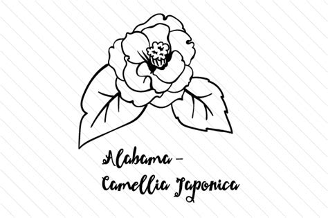 Camellia Alabama State Flower Coloring Coloring Pages