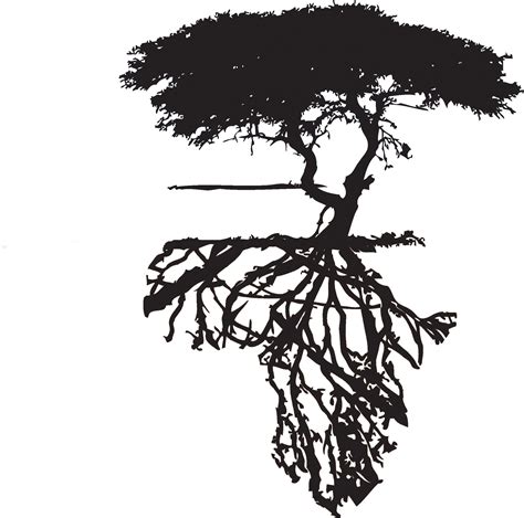 Stunning Africa Outline Made By Tree Roots