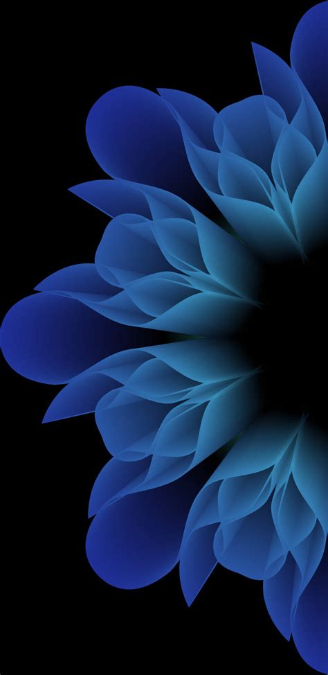 Download Blue Flowers Ios 12 Wallpaper