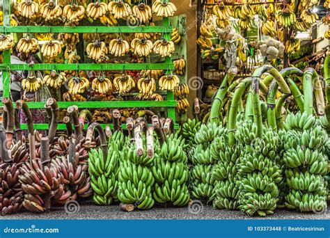 Just Bananas A Store Selling Only Bananas Stock Photo Image Of