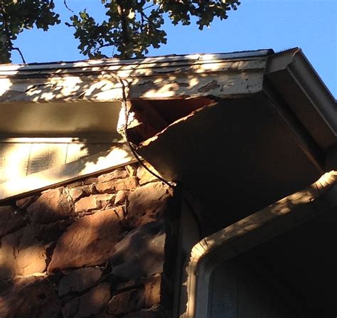 Name three species of mosquito larvae. A Smart Pest Control | Denton Tx | Denton County Texas ...