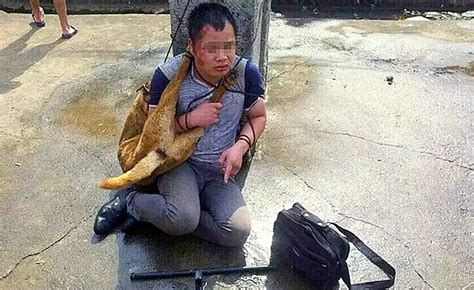 Chinese Dog Killers Beaten By Villagers For Nine Hours Life With Dogs
