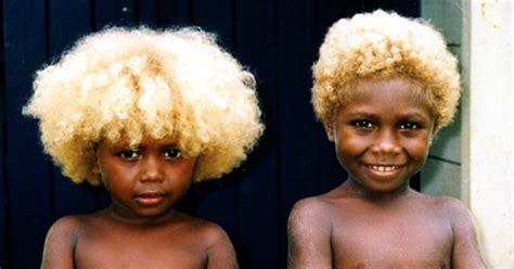 Check out these tips warm blondes bring the bold. Black people with natural blonde hair - Melanesian ...