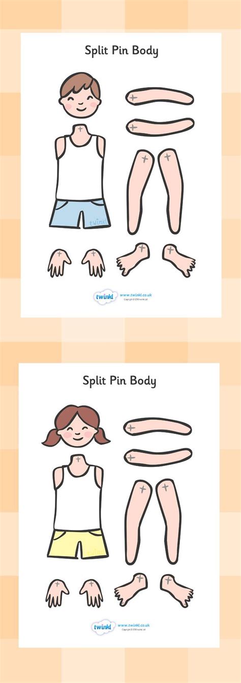 Twinkl Resources Split Pin Bodies Classroom Printables For Pre