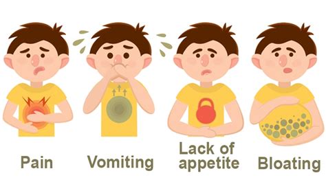 7 Common Digestive Problems You May Have Health Plus Health News