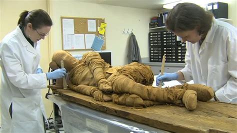 Esciencecommons Rare Mummy Gets New Lease On The Afterlife