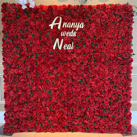Toronto Red Rose Flower Wall 360 Booth Rental