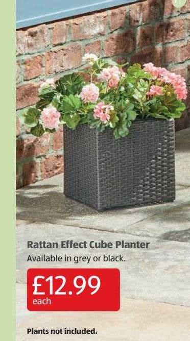 Rattan Effect Cube Planter Offer At Aldi