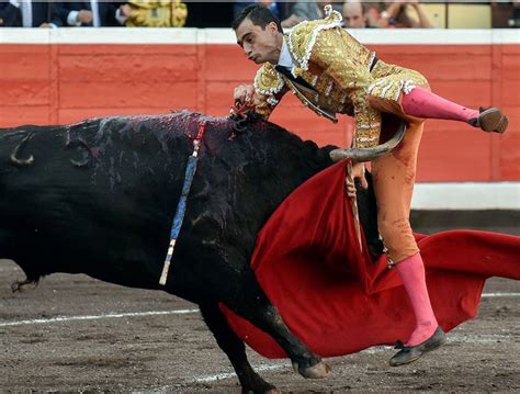 Welcome To Olamamas Blog Bullfighter Gored In The Groin During The