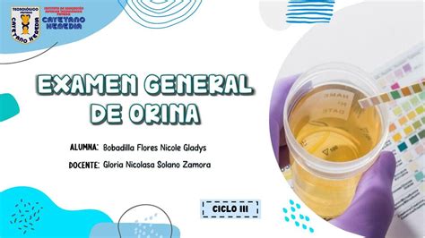 Examen General De Orina Nicole Gladys Bobadilla Flores Udocz