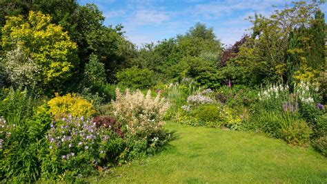 11 Brilliant Budget Garden Ideas Landscaping For Less Homebuilding