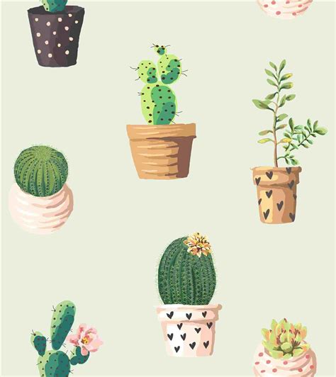 Cute Cactus Wallpapers Ntbeamng
