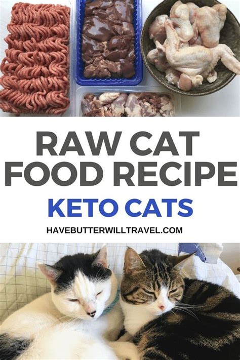 Plus discounts!the best raw cat food brands have. Raw cat food recipe. A recipe made using real food, easily ...