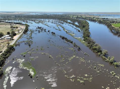 Environmental Benefits Of River Murray Flood Are Beginning To Emerge