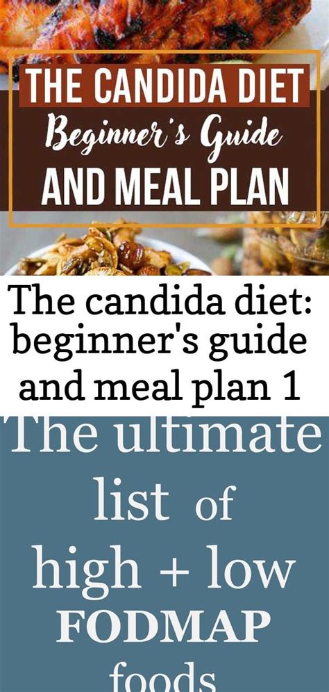 The Candida Diet Beginners Guide And Meal Plan 1