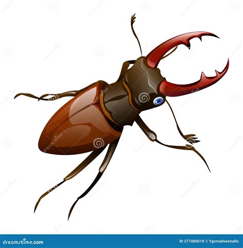 Cute Stag Beetle Lucanus Cervus Cartoon Illustration Stock Vector