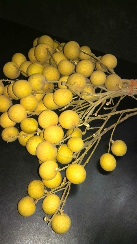 Uwau nama kedai fab la mcm aku *flip hair*. namakucella: BUAH MATA KUCING ATAU BUAH LONGAN