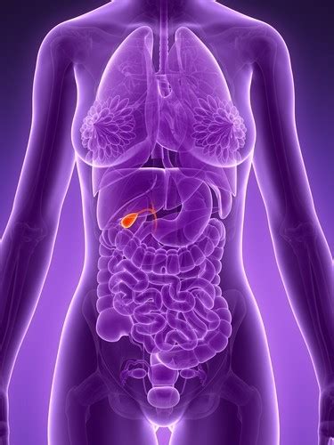 Oz, eating your first meal later in the day and finishing your last bite by 7 p.m. Dr Oz: 4 Fs of Gallstones â Are You At Risk for a
