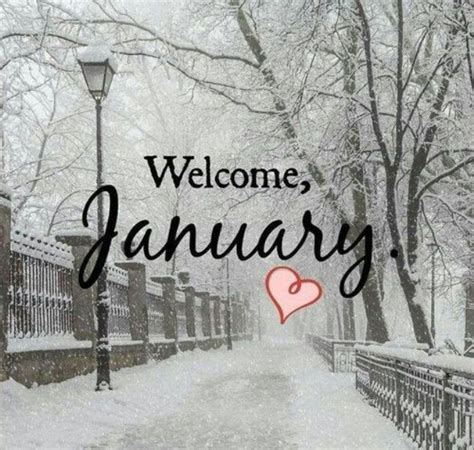 Hello January Images Oppidan Library