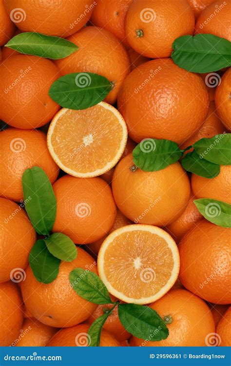Group Of Freshly Picked Oranges With Leaves Stock Image Image Of Food