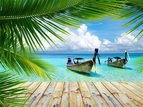 Thailand Two Boats Pier Sea Palm Tree Leaves Summer 828x1792