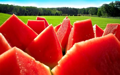 Watermelon slices wallpaper - Photography wallpapers - #20325
