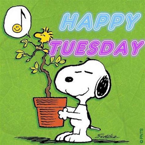 Yet all of us need to play about as much as. Happy Tuesday Pictures, Photos, and Images for Facebook ...