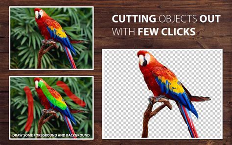 How to remove a background in photoshop express online photo editor. Automatically Remove Background from Image - PhotoScissors