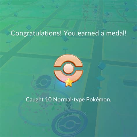 Gold johto medal ripple in time. Pokémon GO: Medals - Book of Jen