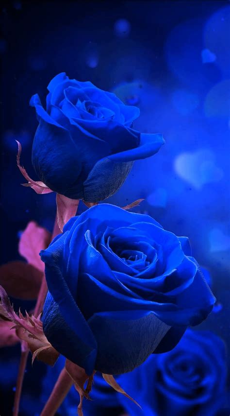 Pin By Ángeles On Phone Wallpapers In 2021 Aesthetic Roses Beautiful