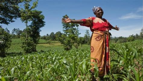 Strengthening Rural Women’s Contribution To Sustainable Food Systems Through The African
