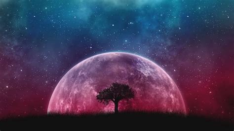Check spelling or type a new query. 1001+ ideas for a cool galaxy wallpaper for your phone and ...