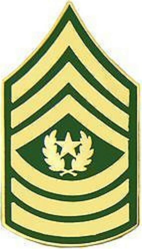 Army E 9 Command Sergeant Major Military Rank Lapel Pin Ebay