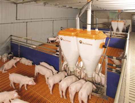 Pig Feeding Nurseryfinishing Big Dutchman Usa