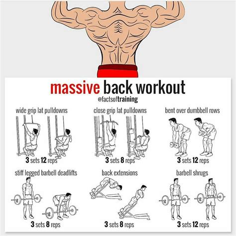 Back Muscles Exercise Chart Back Muscle Exercise Chart Pin On Back