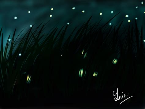 Fireflies In Night Sky By Tania Chowdhury On Dribbble